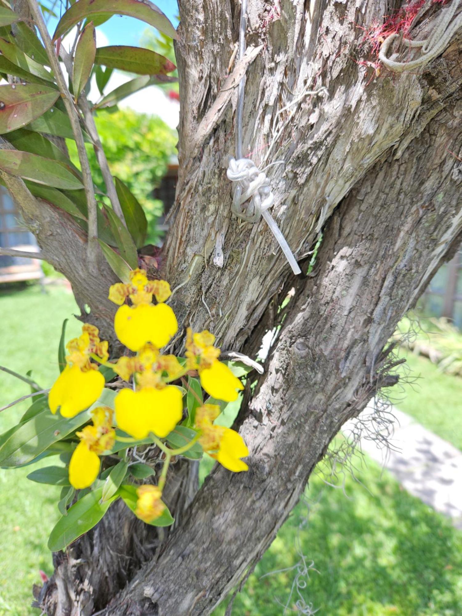 Holiday home Alquileres En *
